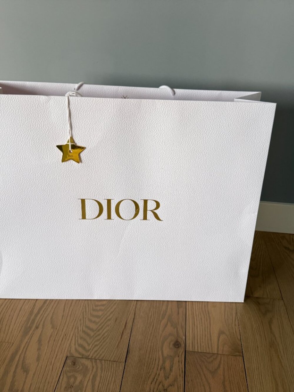 Dior White Textured Gold Logo Large Shopping Bag Gift Bag Storage Bag